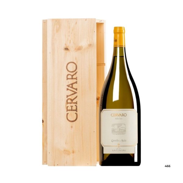CASTELLO DELLA SALA - CERVARO DELLA SALA 2023 MAGNUM