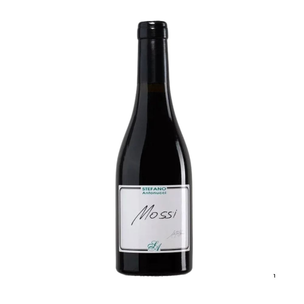 STEFANO ANTONUCCI MOSSI 2016